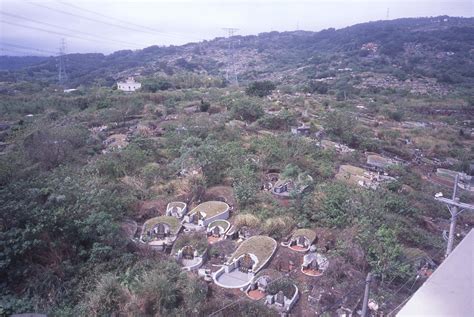 觀音山墳墓|葬在高崗上